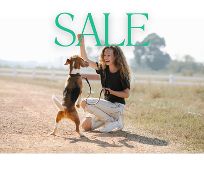 💥 SALE 💥