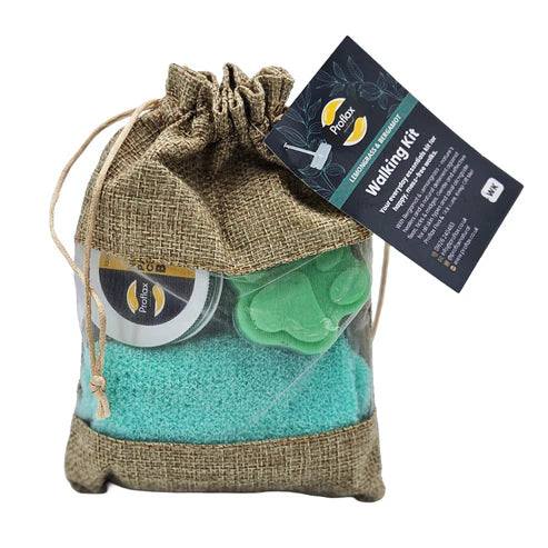 Natural Dog Walking Kit - Flea & Tick