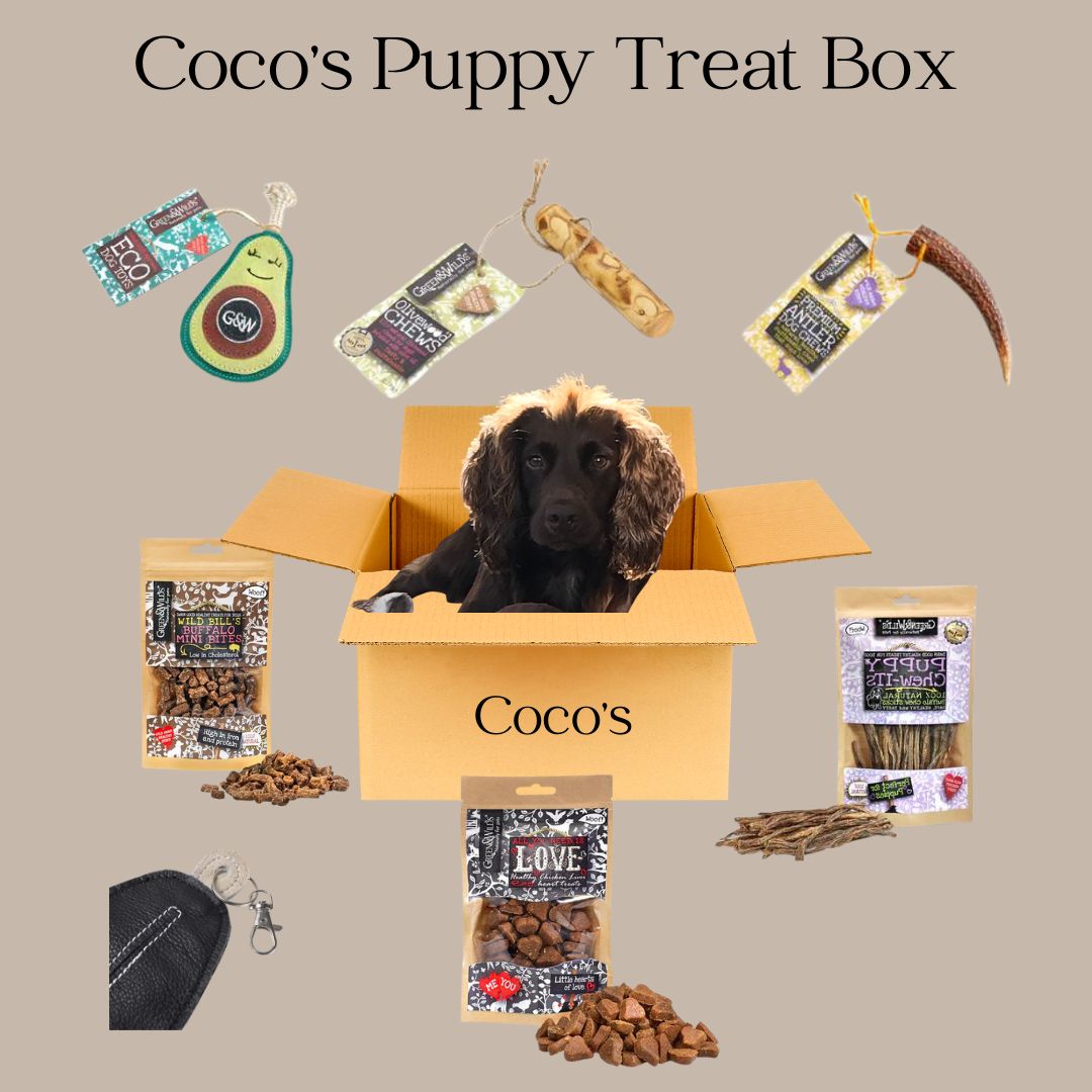 Coco's Puppy Treat Box