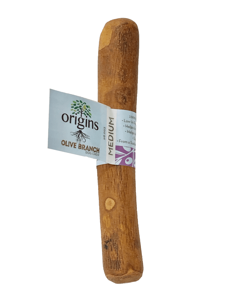 Origins Olive Branch - Medium