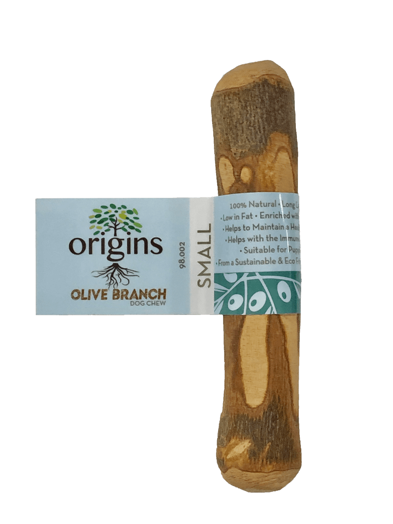 Origins Olive Branch - Small