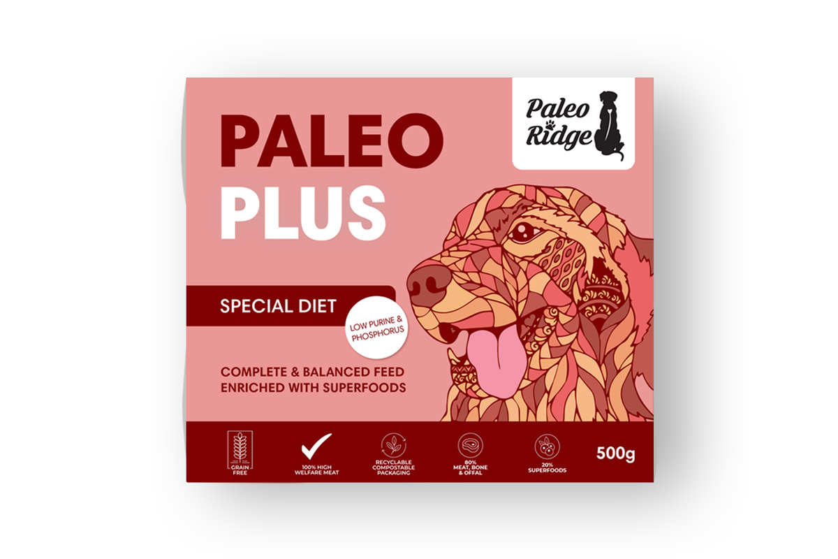 Paleo Plus Special Diet - 500g